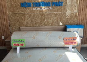 NỆM CAO SU TỰ NHIÊN TẠI TPHCM
