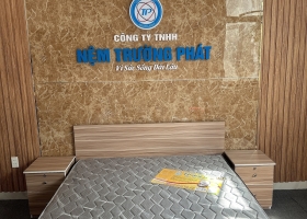 Nệm cao su tổng hợp: Công nghệ tiên tiến giúp bạn có giấc ngủ tốt hơn