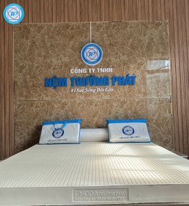 Nệm Cao Su Tự Nhiên 01 - Nệm Trường Phát