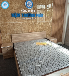 NỆM CAO SU TỔNG HỢP CHẦN GẤM NHUNG