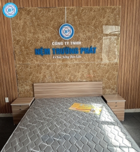 NỆM CAO SU TỔNG HỢP CHẦN GẤM NHUNG