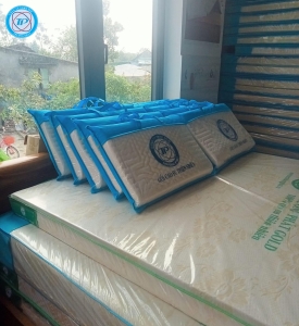 GỐI CAO SU THIÊN NHIÊN 