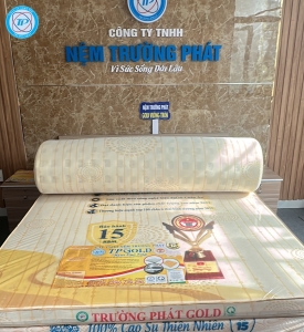 NỆM VUÔNG TRÒN TRƯỜNG PHÁT 180x200x10cm