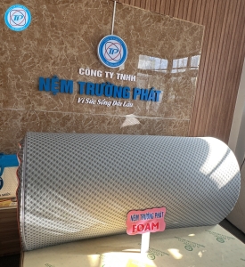 NỆM FOAM HOẠT TÍNH 160x200x10cm